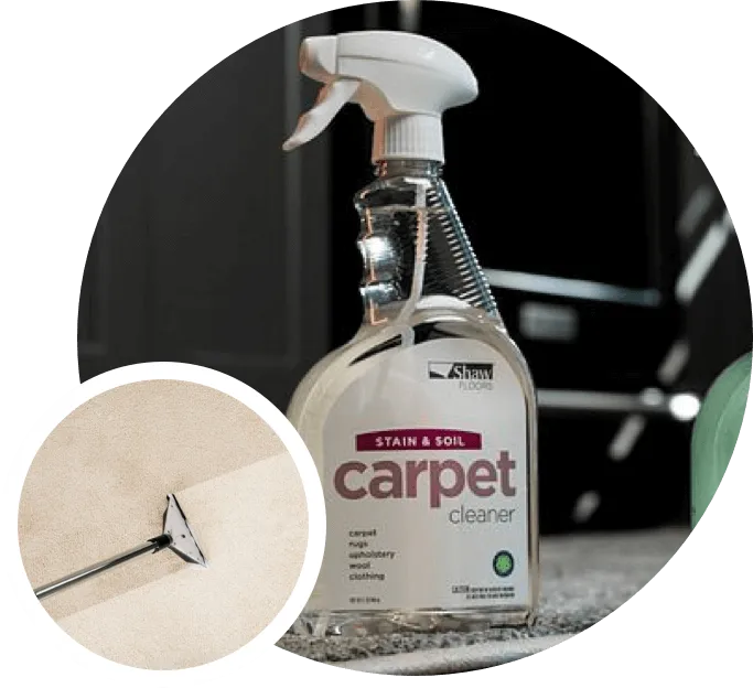 Carpet cleaner | Gil's Carpets