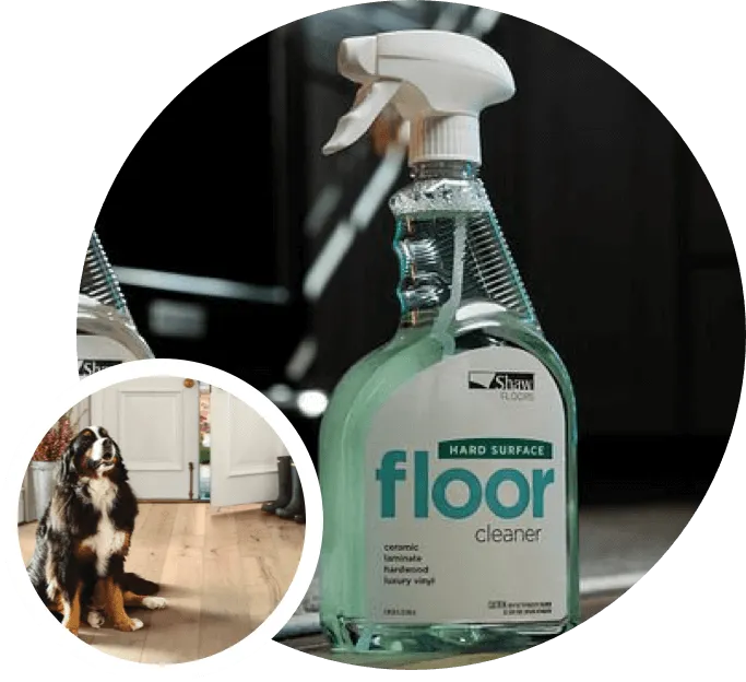 Hard surface cleaner | Gil's Carpets